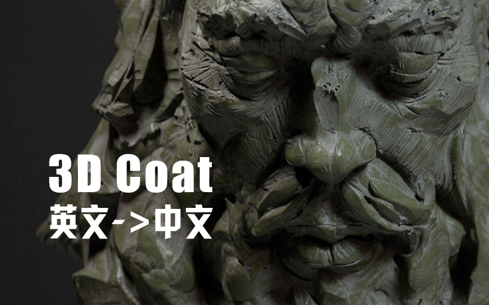 3dcoat ?????????η????????