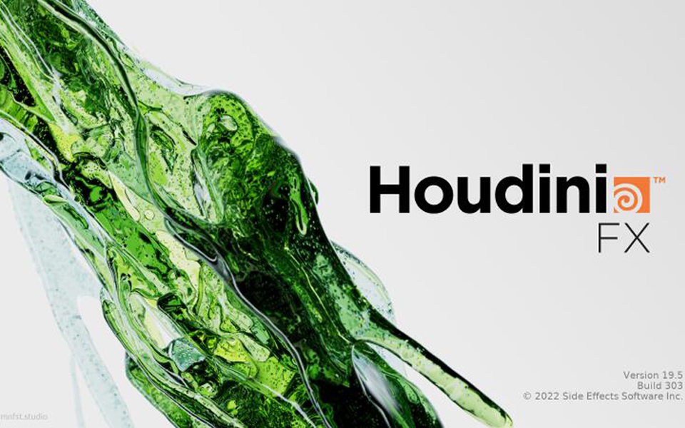 houdini19.5.303