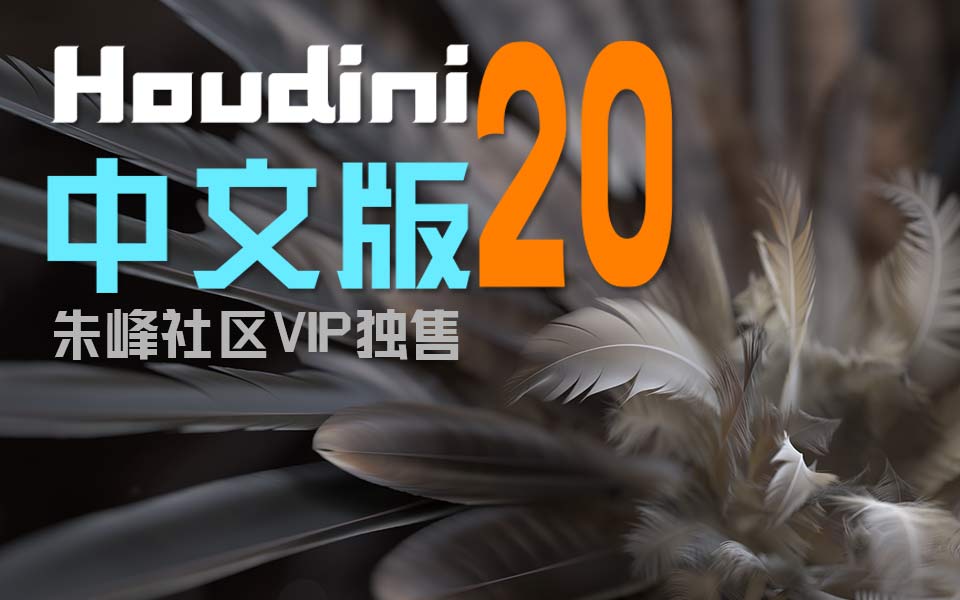 Houdini20????????????VIP????