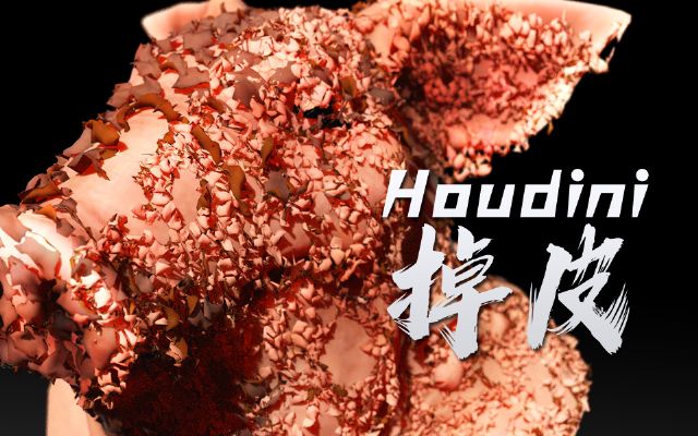 houdini???Ч??????