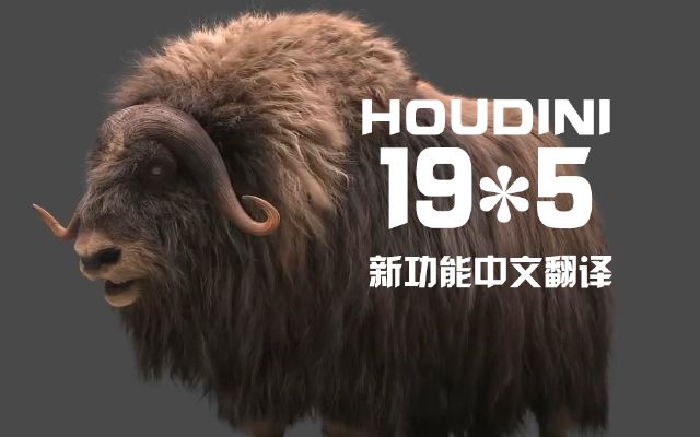 Houdini19.5¹ķg