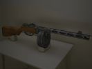 ppsh_h