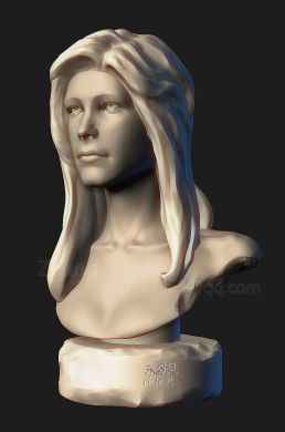 ZBRUSH(x)^