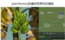 plantfactory(chung)й(sh)ֲ