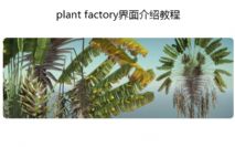 plant factoryB̳