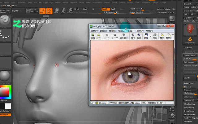 Zbrush???????????????